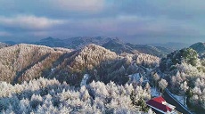 立冬初雪扮靚鄂西萬畝林海