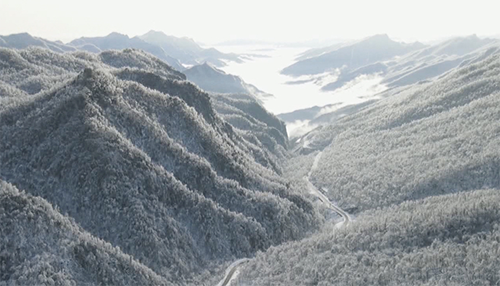 別樣春光！大雪飄落神農架