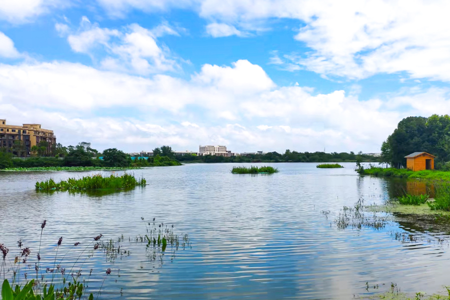 勝家海湖狠抓河湖治理 構(gòu)建生態(tài)平衡