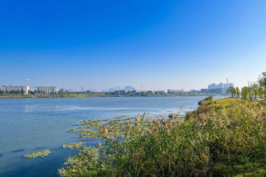 消除黑臭水體 萬家湖變身親水公園