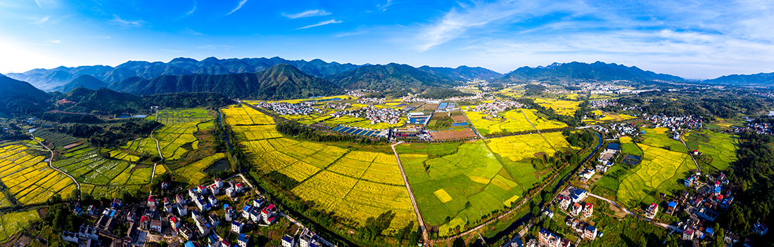 在希望的田野上