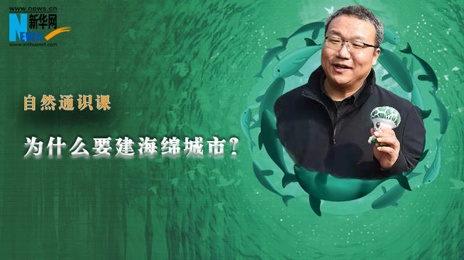 自然通識課丨為什么要建海綿城市？