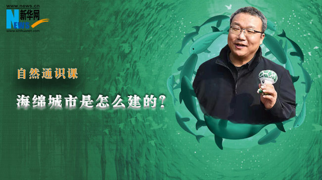 自然通識課丨海綿城市是怎么建的？