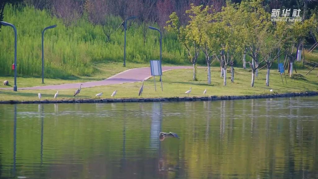 湖北襄陽(yáng)：城市生態(tài)公園引游人就地就近度“五一”